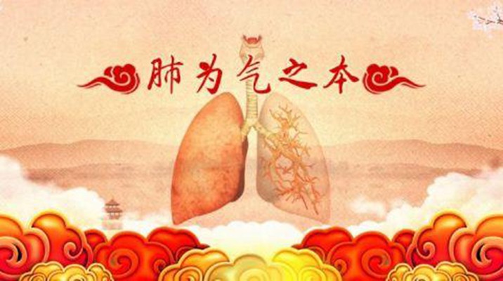 中医常说:肺为五脏之天,有个好的肺脏很重要,应该如何养好肺呢