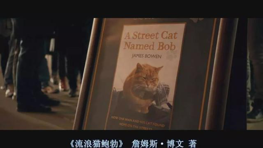影评《流浪猫鲍勃:一个关于救赎的故事