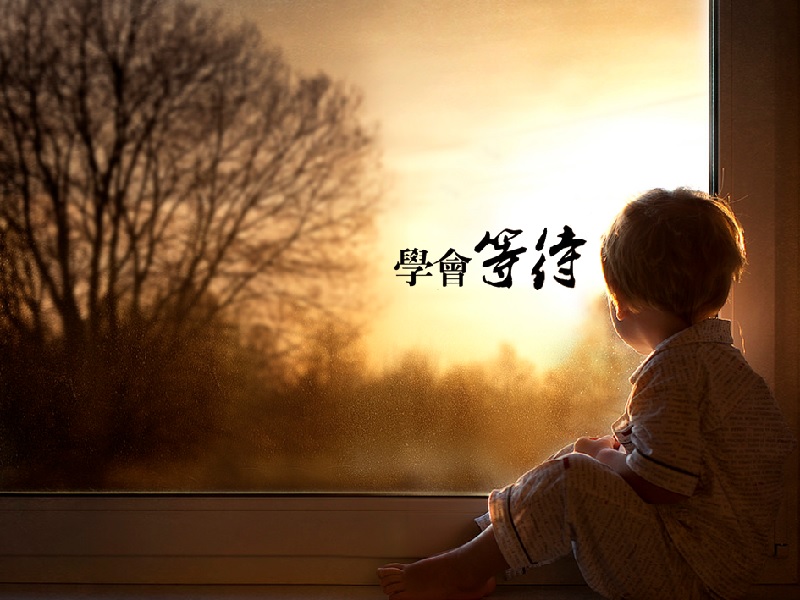 28首"等待"诗词:守得春风岭上来,双眉略展待花开