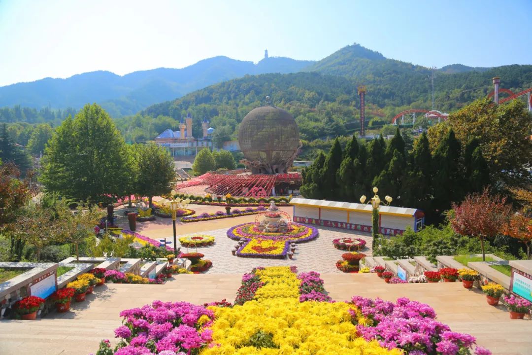 秋菊绽放!烟台塔山旅游景区值得你来为秋天打卡!