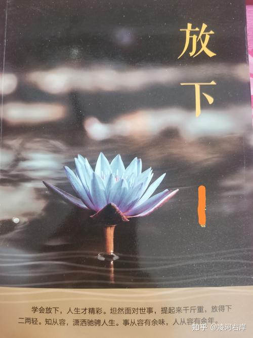 人生没什么放不下的,痛了自然就放下了;字字走心的短语句子!