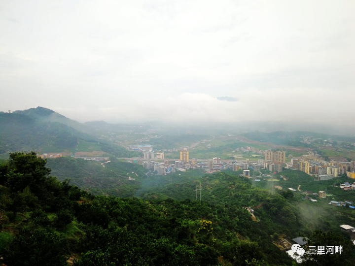 开州区作家陈宇光《鲤鱼寨记》