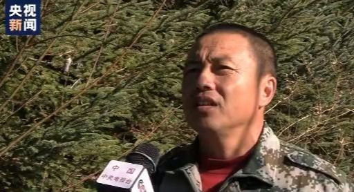 热点|胆颤心惊！小兴安岭首次找到东北虎吃熊证据，网友：不愧是万兽之王