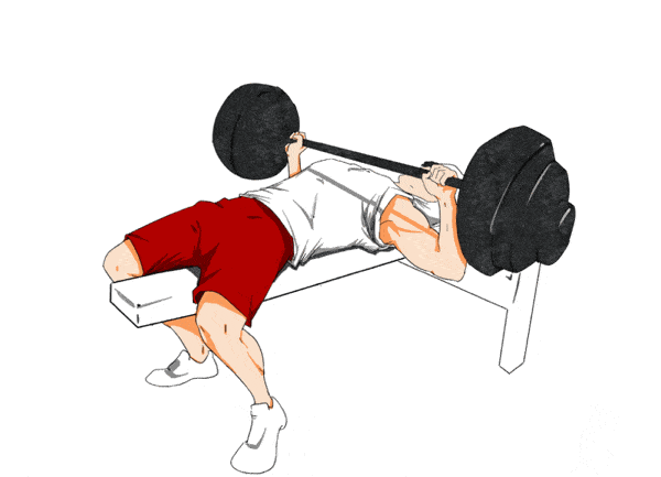 卧推的种类繁多但均源自平板卧推怎样把握卧推中的要领
