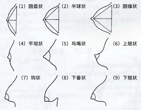 女性有六种胸型,你是哪一种,试着尝试一下