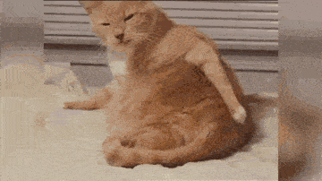 360_202gif 动态图 动图