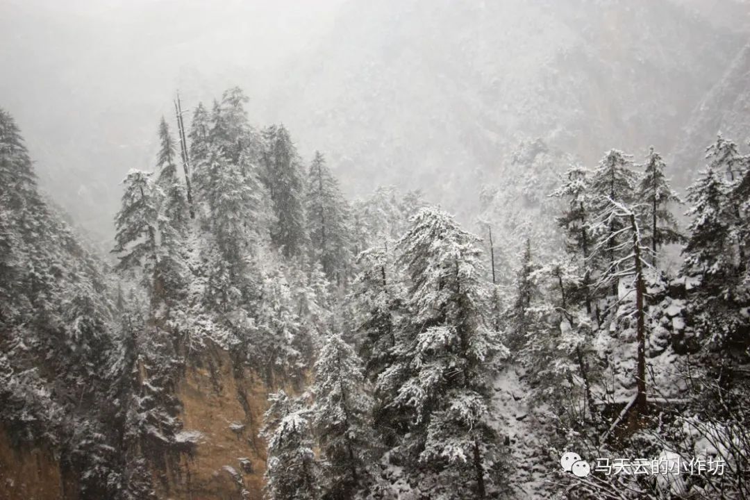 图胜千言|雪落贵清山