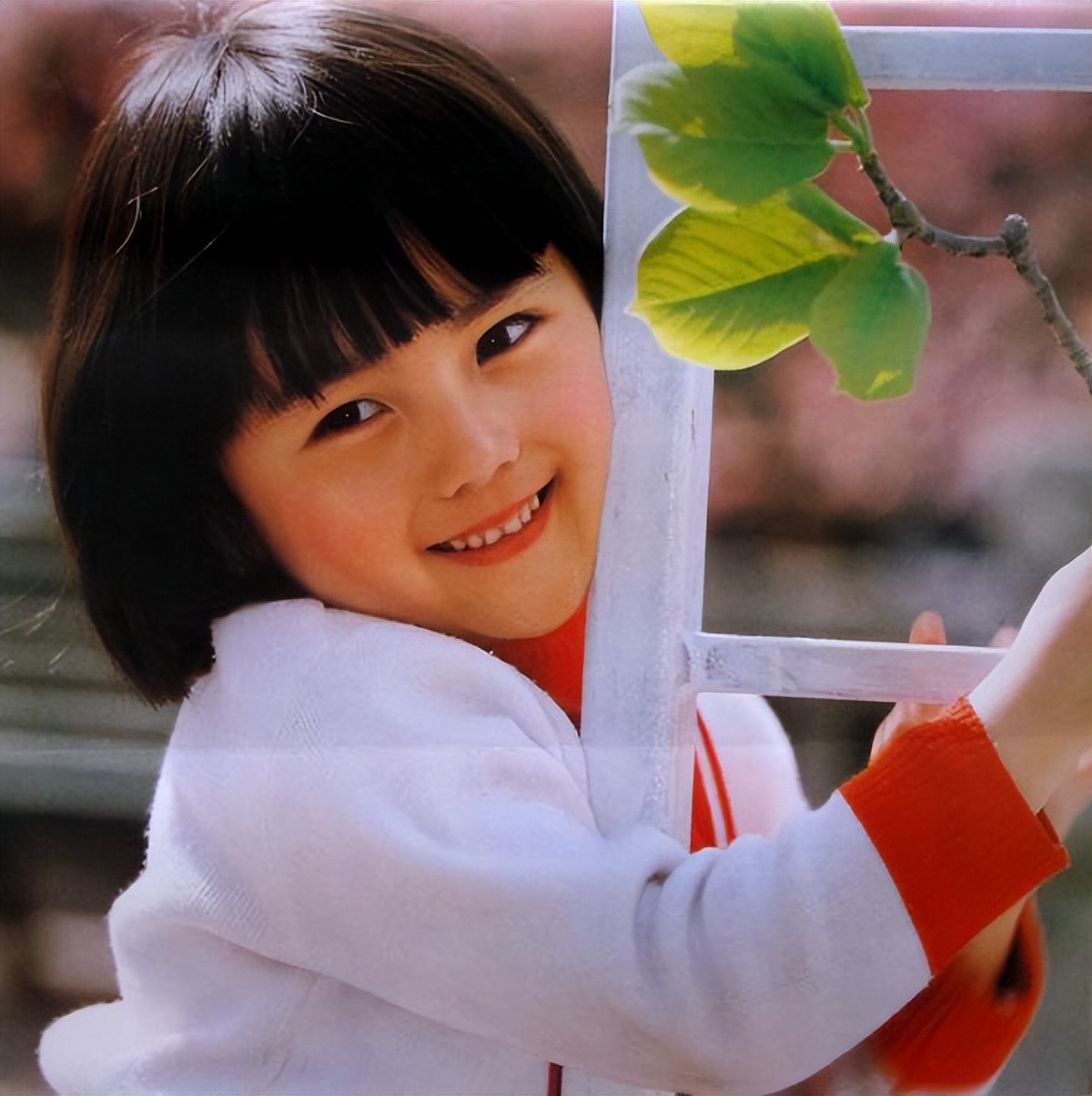 小史可:武林外史中的百灵,为爱远嫁日本却遭背叛,离婚后退圈