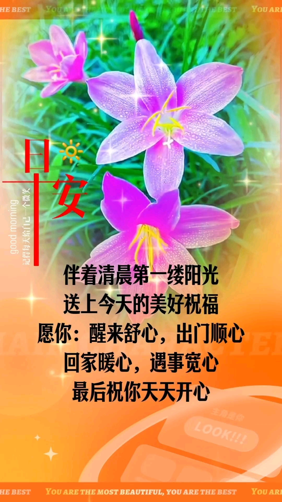 清晨的祝福,早上好!