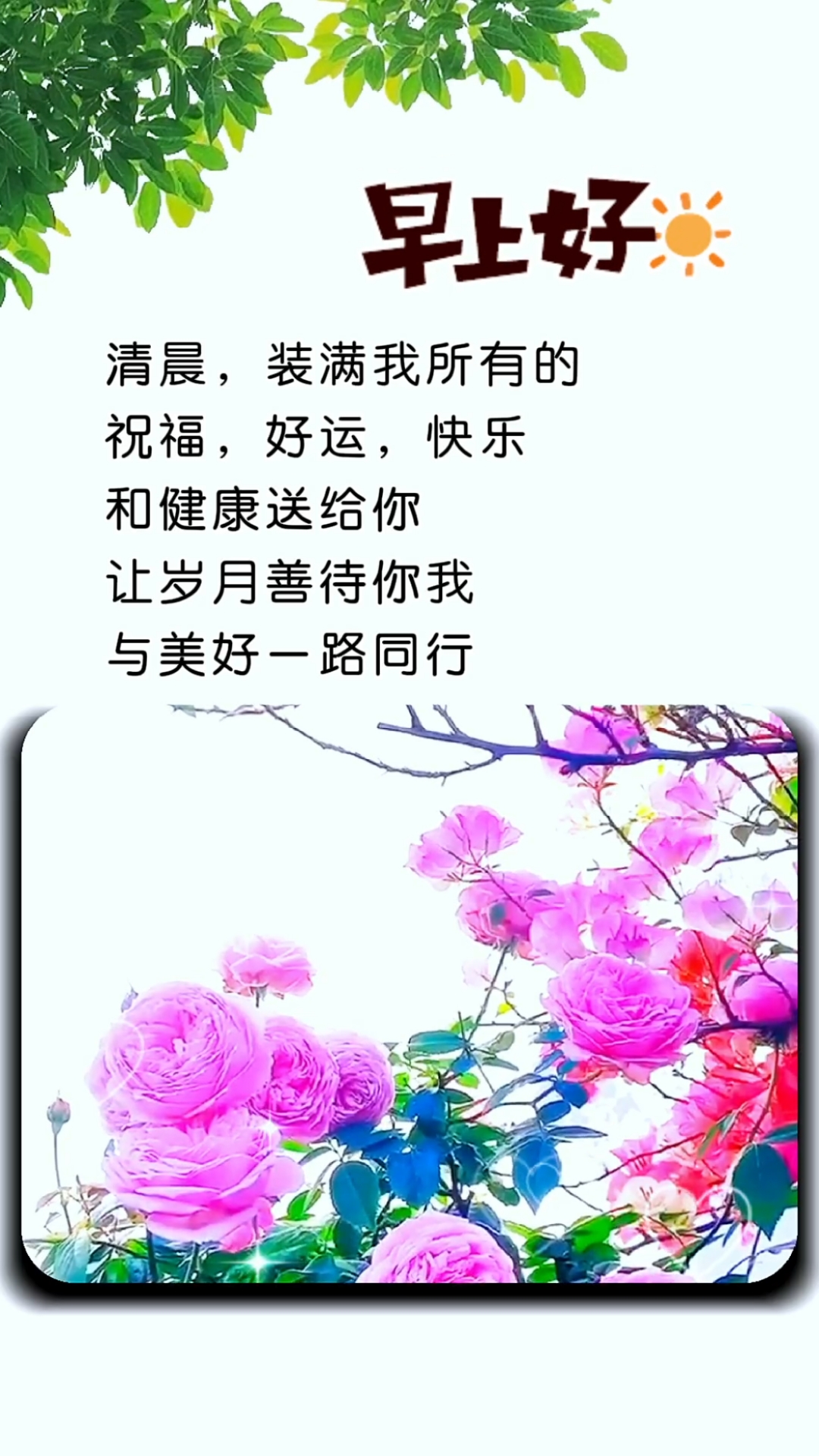 清晨的祝福,早上好!