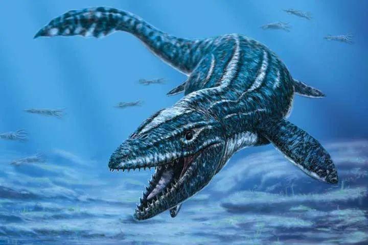 变异沧龙的绘画需要注重以下几个方面:一,了解沧龙的特征和习性在开始