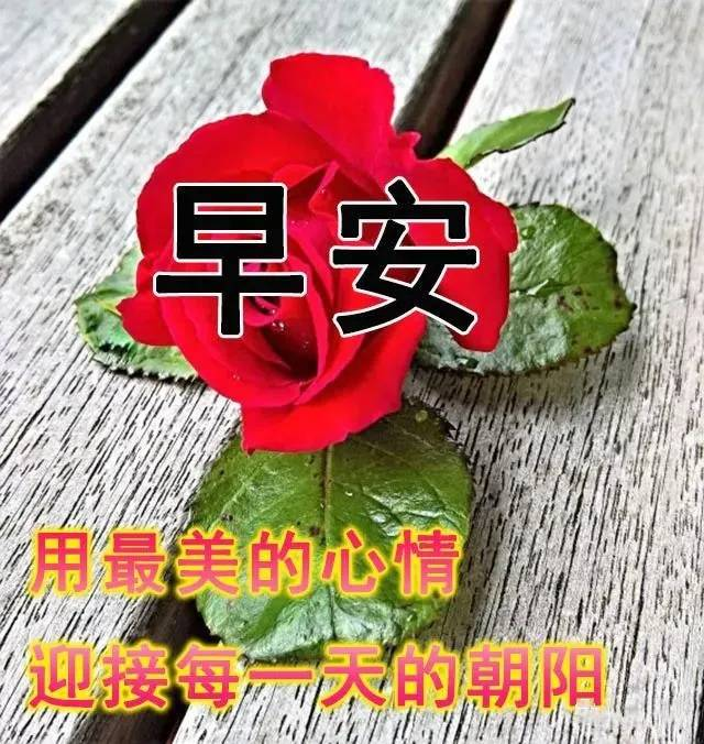 充满活力的早安正能量问候语,最新漂亮早上好问候表情动态图片