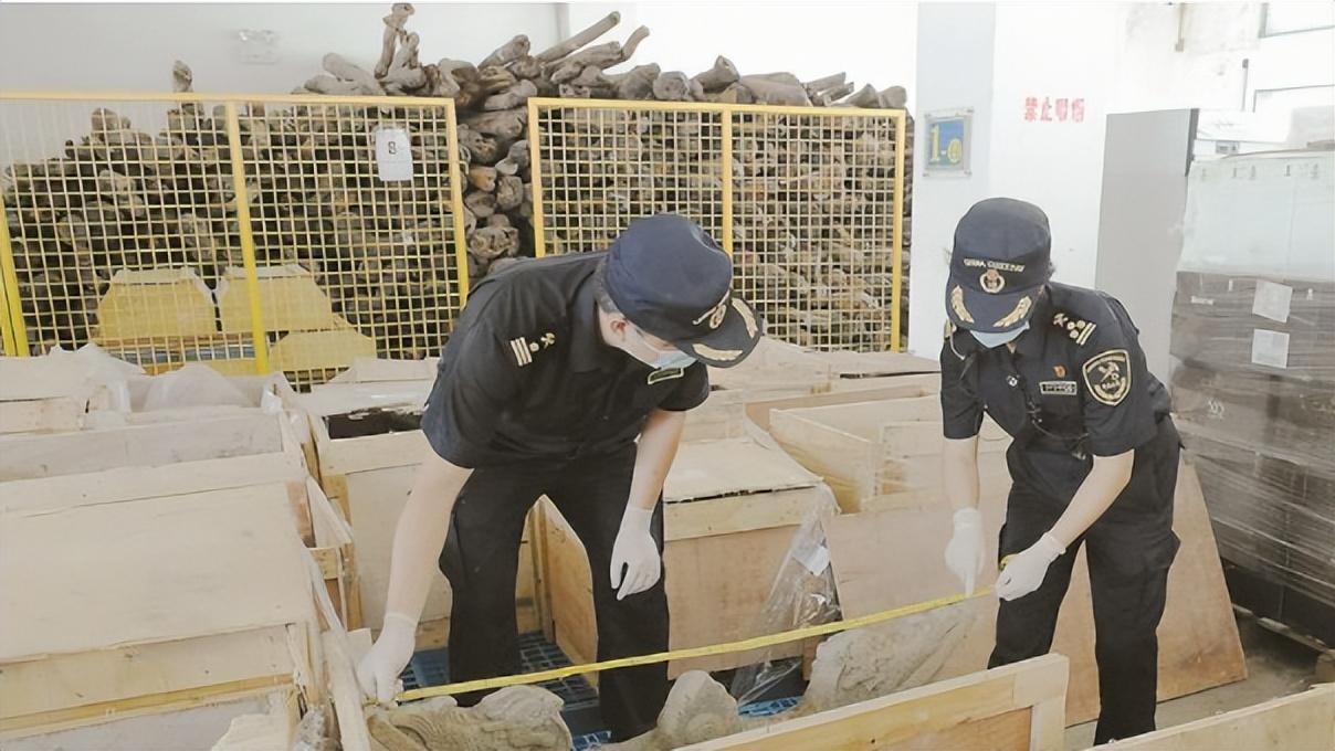 纪实:"海关巨贪"杨前线,贪财好色包养情妇判死刑,终自食恶果