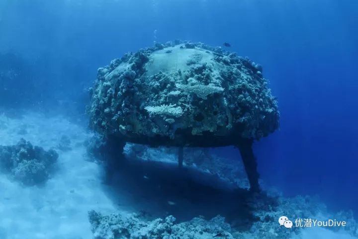 遥远非洲最美的10大潜水圣地