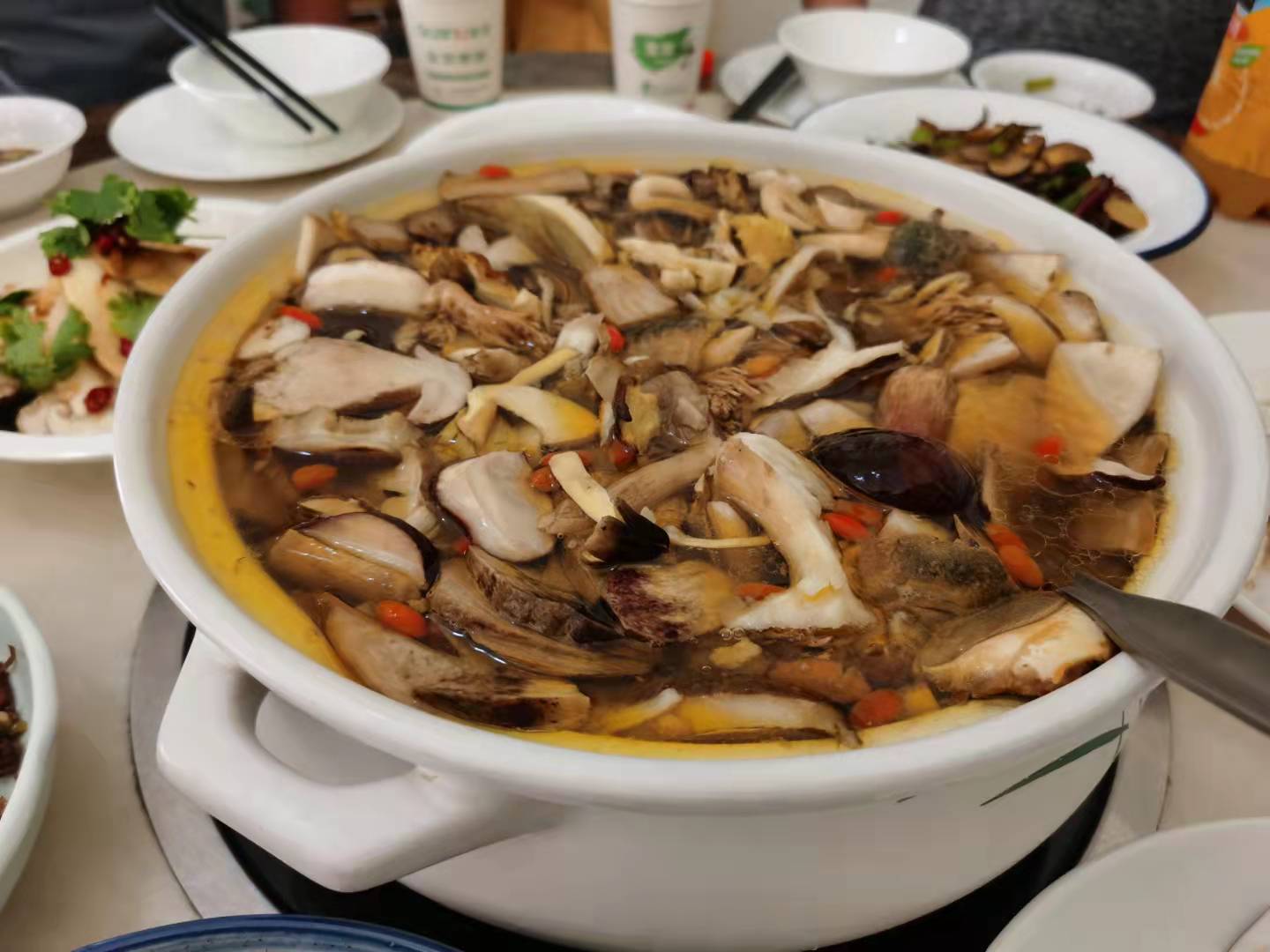 识菌,拾菌再食菌