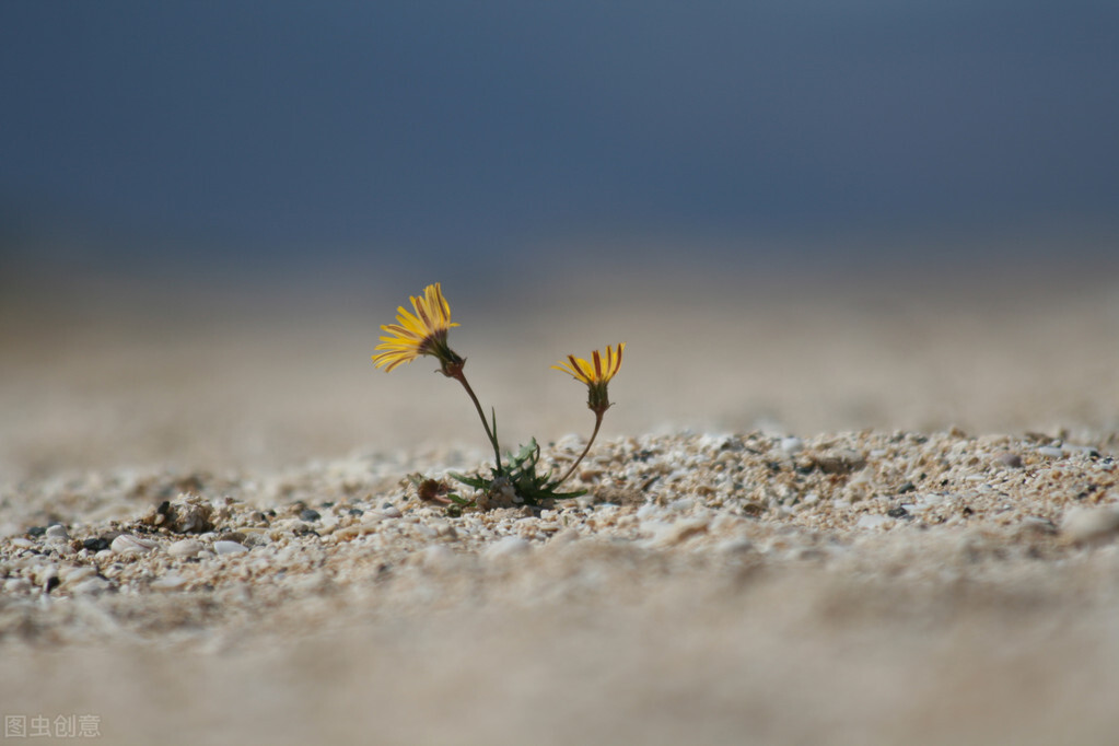 童年不幸的人,即使富有四海,内心也有荒芜