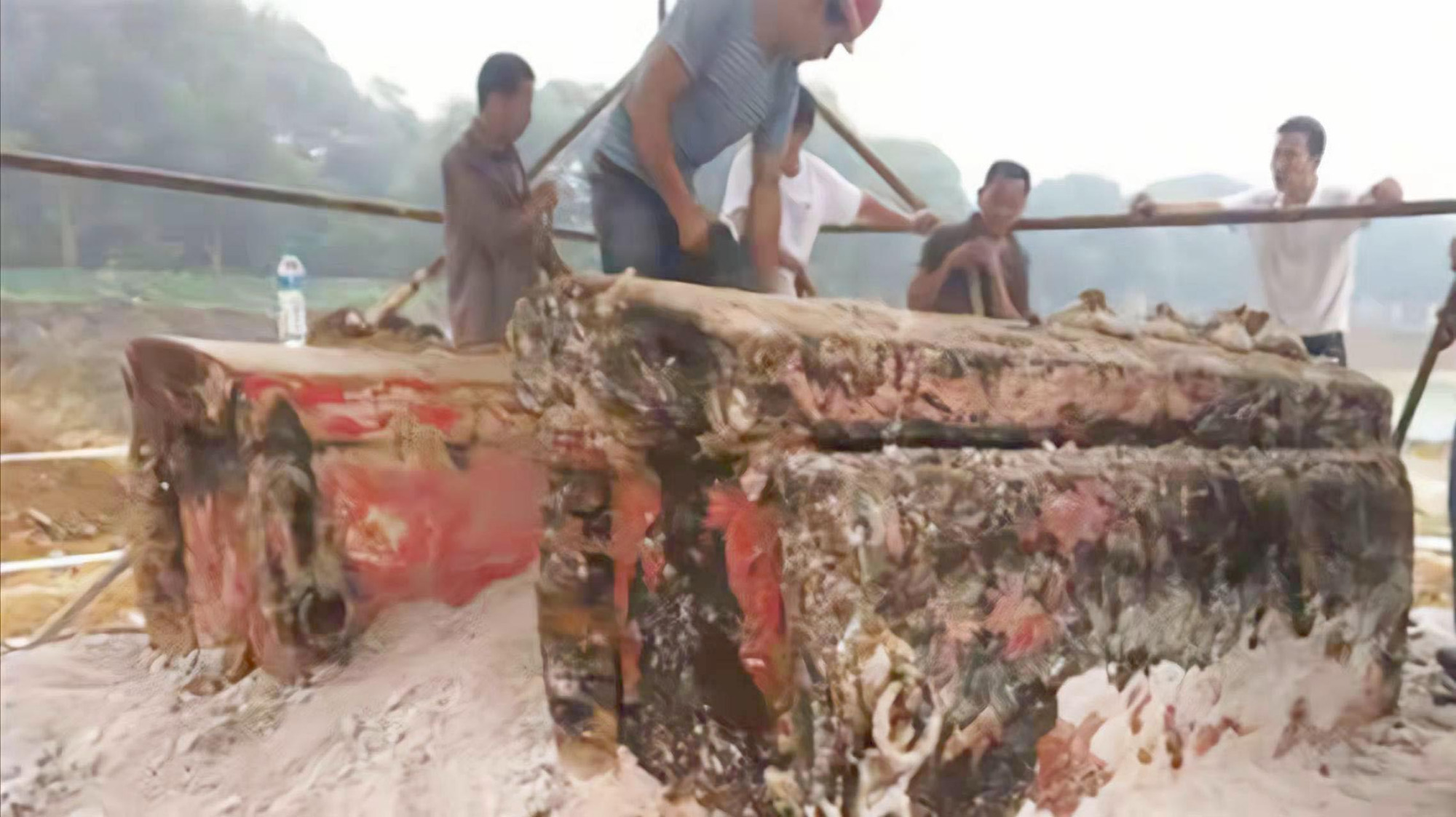 广西出土七星棺,墓主人身份成谜,专家证实棺内"龙须"是真的!