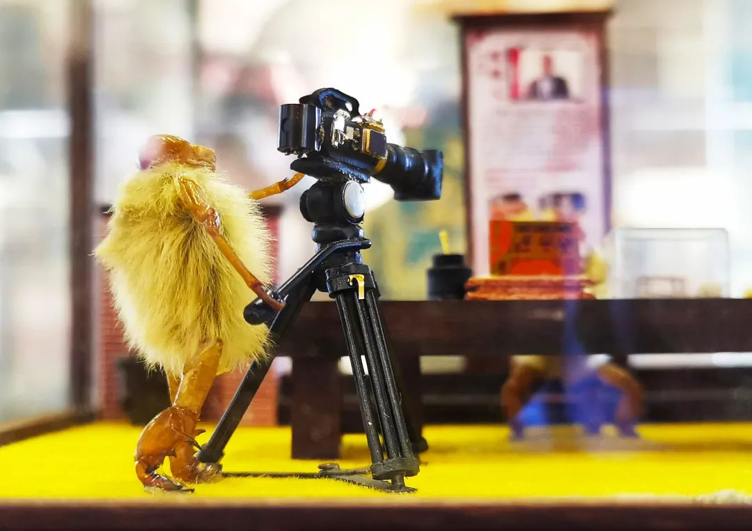 北京非遗说|"毛猴":半寸猢狲道百事