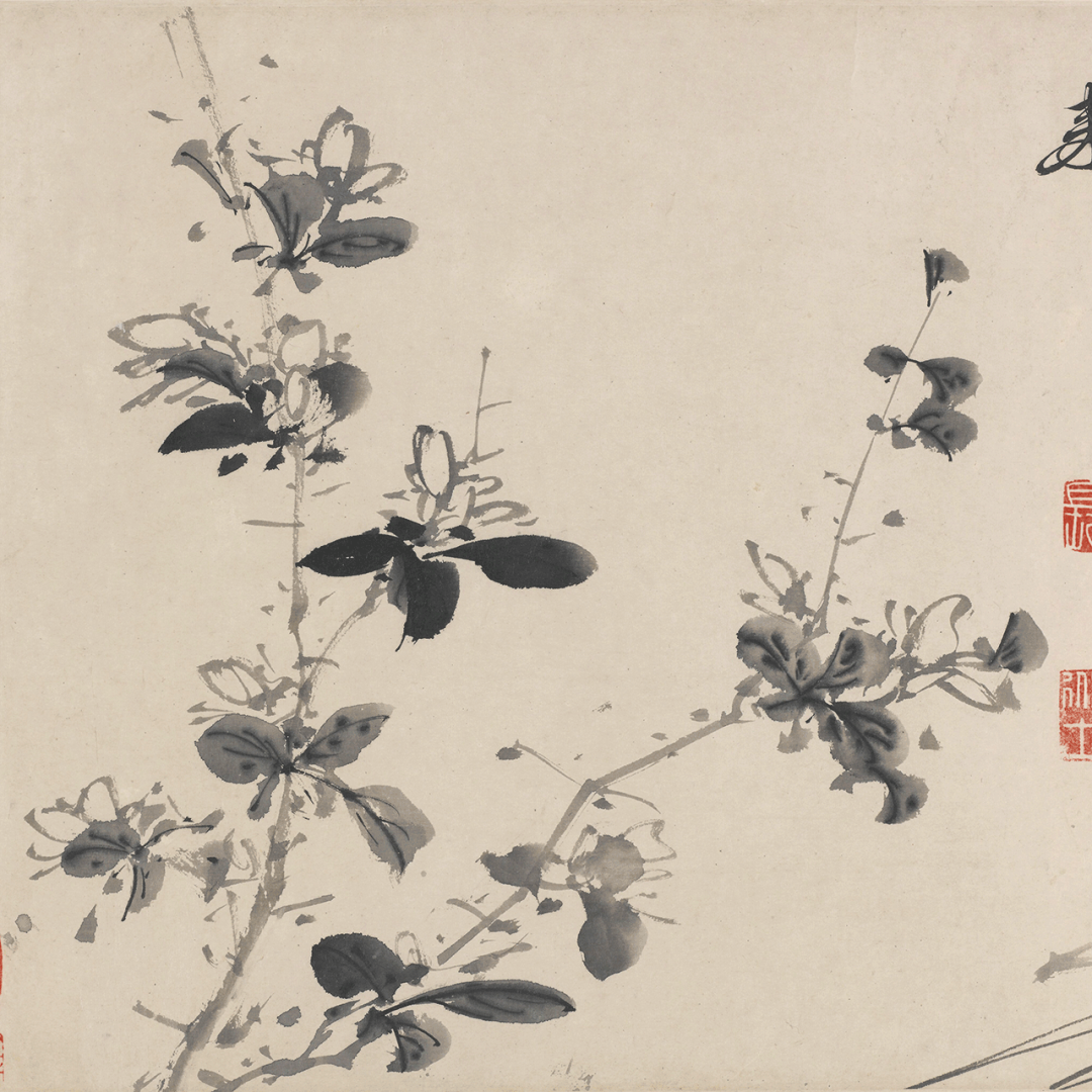 访古丨徐渭 · 十二墨花图