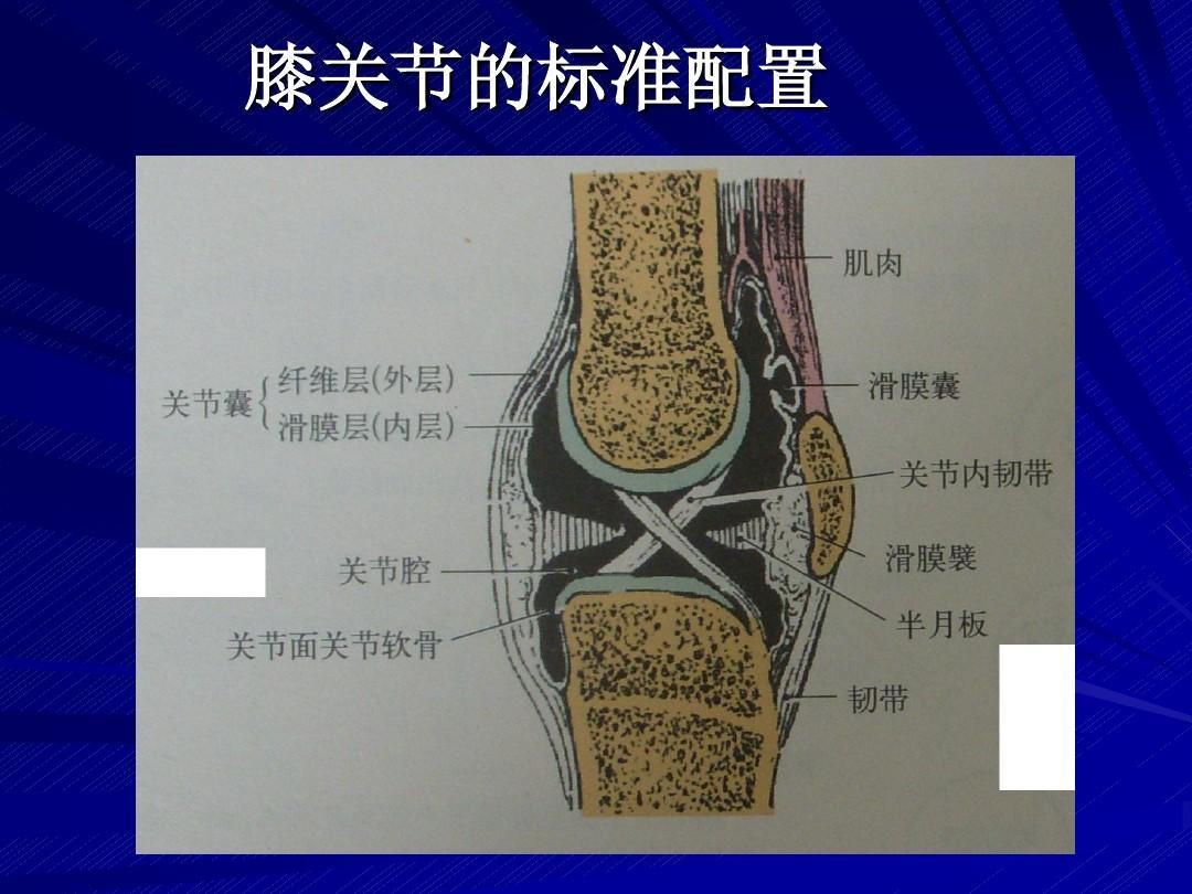 膝关节结核,是由结核杆菌引起的,主要临床表现是单侧关节发病