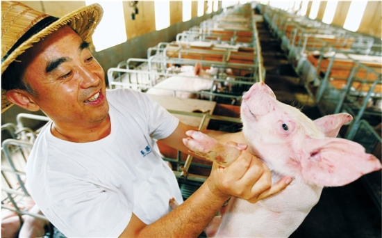 猪场饲养员洗澡后穿内裤罚款200,网友:规定比坐牢还要残酷