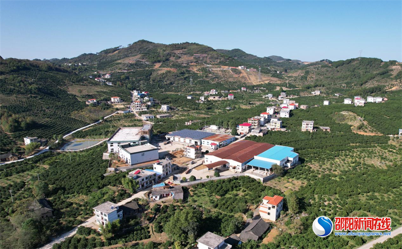 新宁县金石镇月汉村:龙丰果业助力打造乡村精神高地