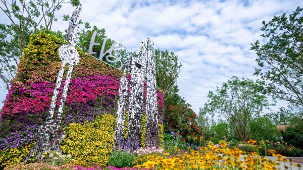 第十届中国花博会在上海崇明闭幕:"花期"终有时,"花岛"香不散