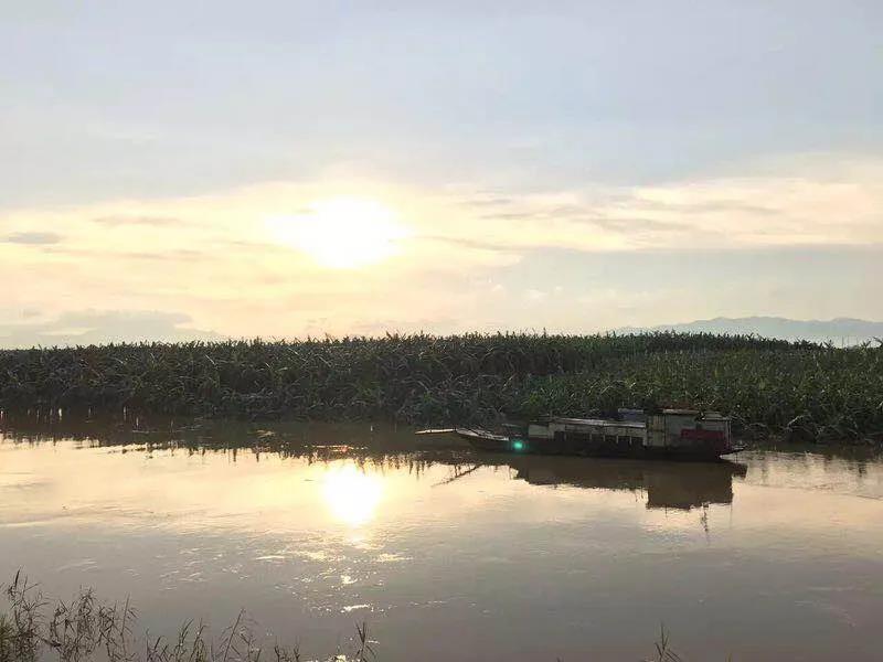 肇庆沙浦兄弟农庄图片