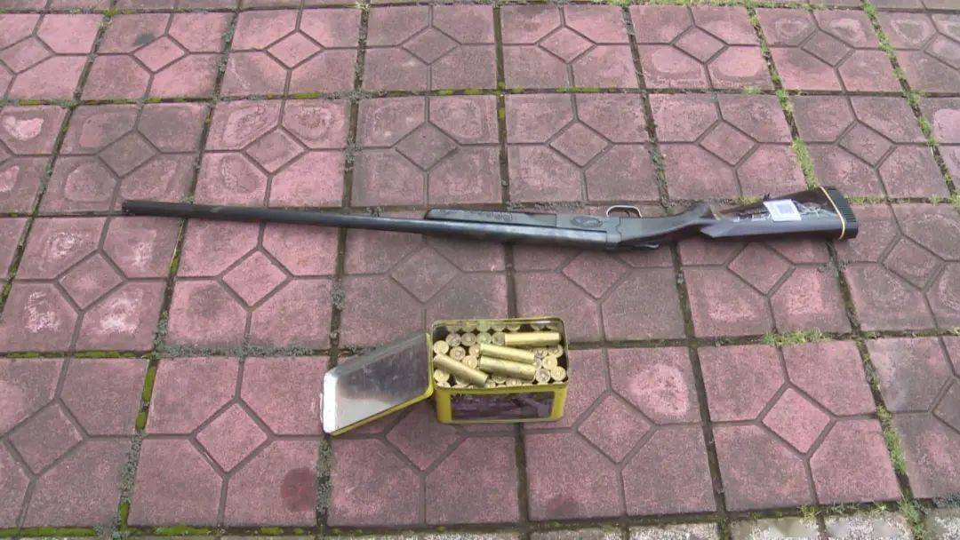 93年银川男子带狗参演电影拍摄时导演赞不绝口拍完人和狗全处决