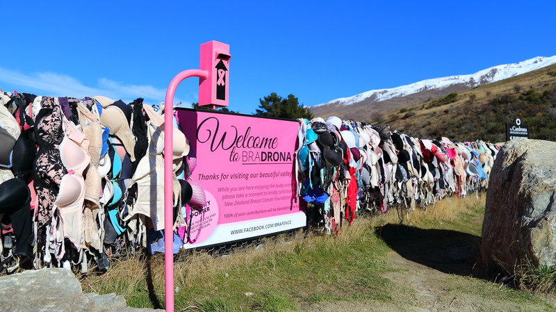 新西兰网红"内衣墙",女孩自愿脱下内衣,却遭男性强烈反对