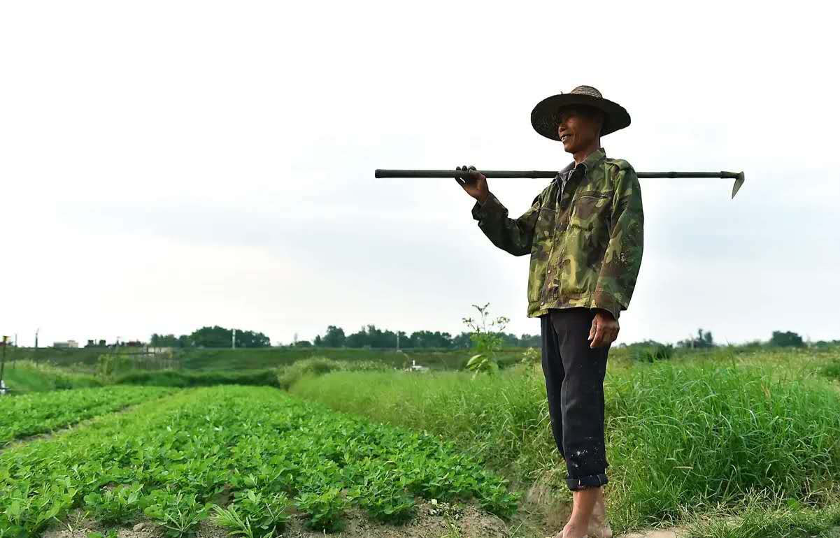 世事总不能万般如意,享受自己的生活才是王道