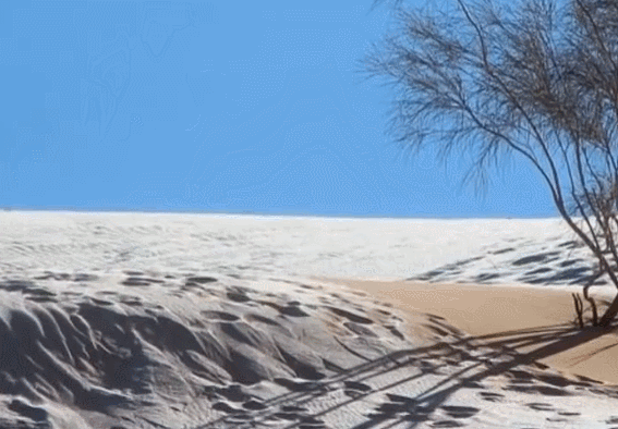 撒哈拉沙漠小镇连续第二年下雪：金黄沙丘被雪覆盖