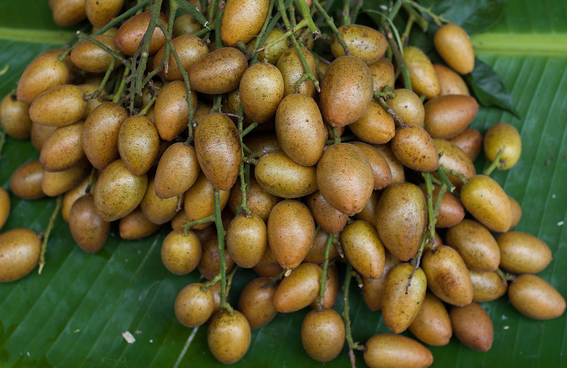 广州特产水果,人称"积气之果",连皮带核都能吃