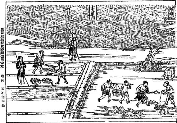 马可·波罗他真的到过中国!