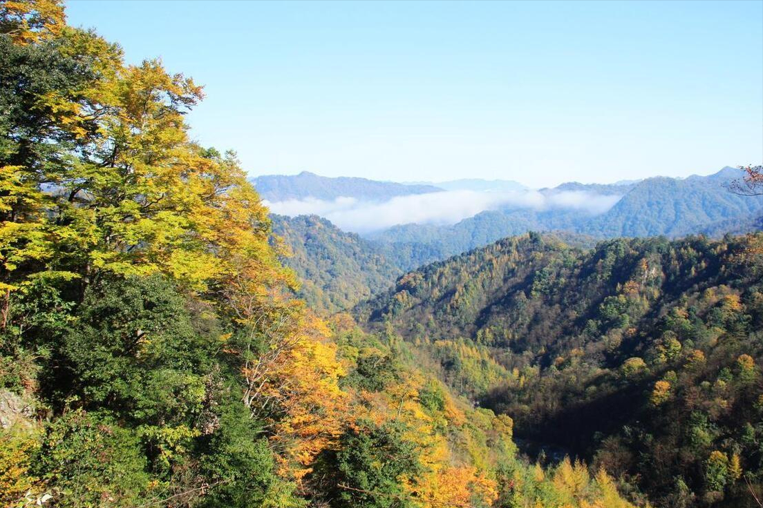 成巴高速沿途景点图片