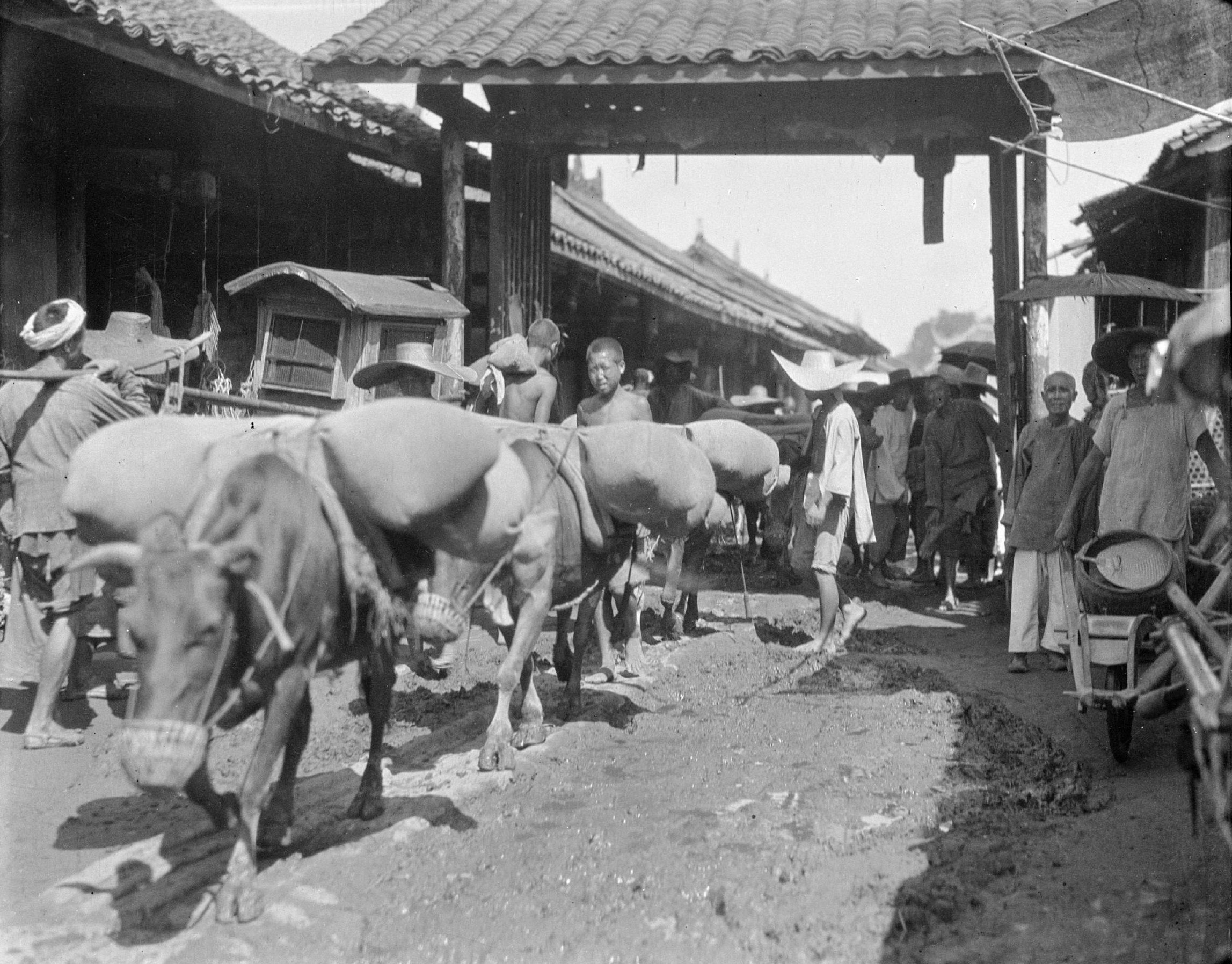 1917年甘博中国行之十六:从成都经郫县至灌县的老照片