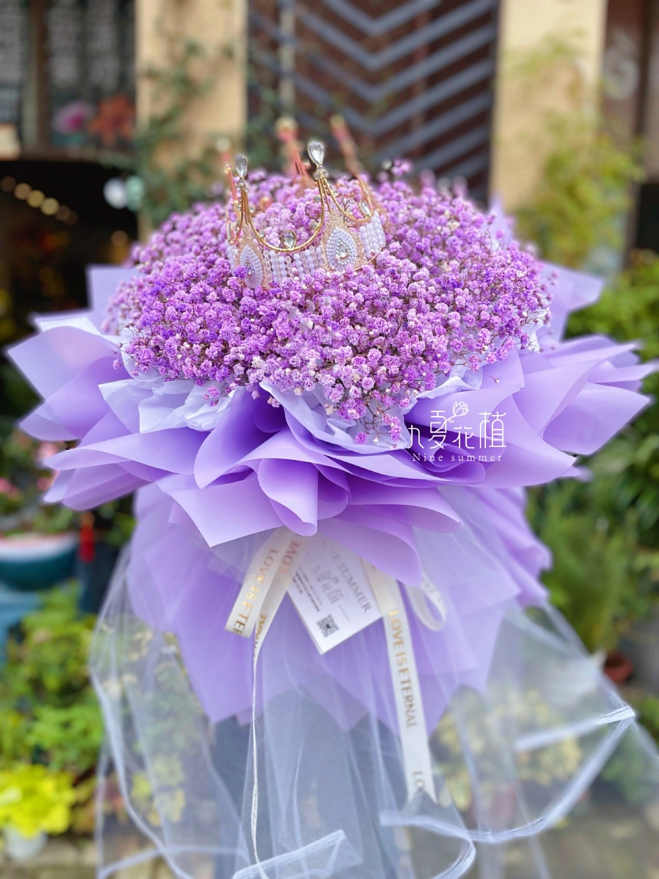 紫色满天星有什么寓意(紫色满天星的寓意和花语)