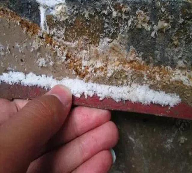 农村老砖墙上长白毛是咋回事?老人说是墙"生硝"