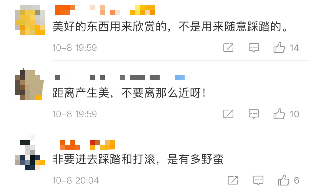 热点|“进入花田你没有花美！”景区一段硬核喊话爆火，网友：你大妈还是你大妈