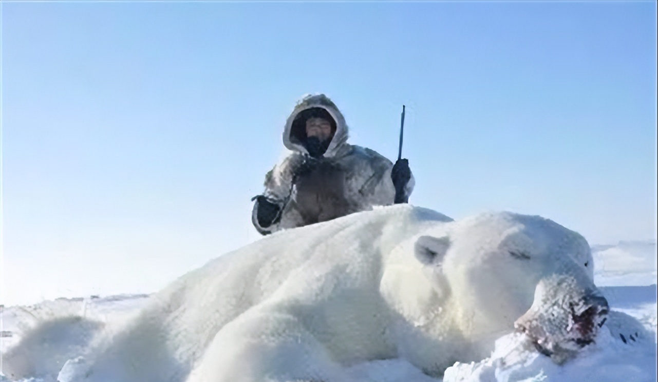 零下50因紐特人住冰屋為何不冷生火雪不會化嗎咋上廁所