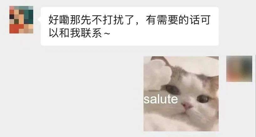 salute猫表情包图片