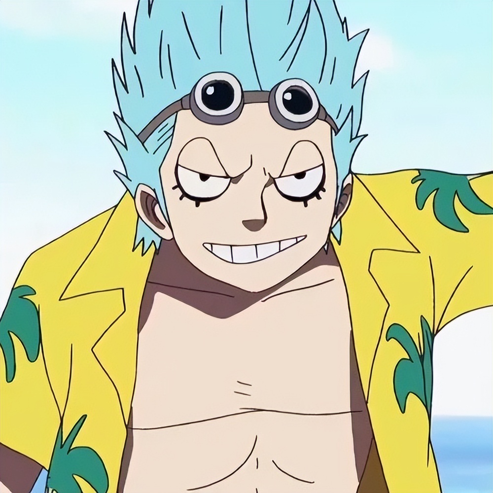 海贼王:改造人船工弗兰奇!