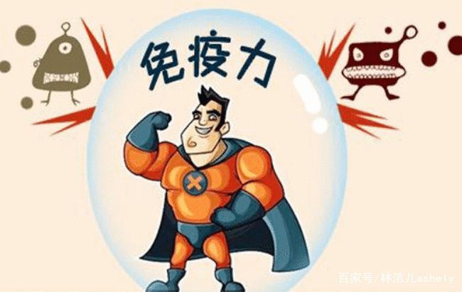 女巫汤(女巫汤意面百度百科)