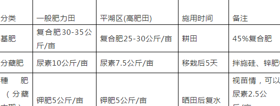 高档优质香稻隆晶优1212晚稻栽培管理技术,亩产可达1300斤以上