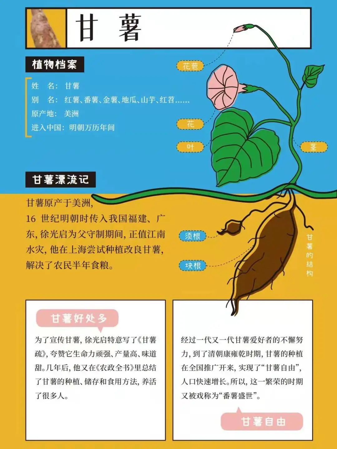 徐光启简介图片