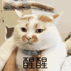 热点|最“壕气”物业！业主子女考上清华、北大奖励1亿？真相来了