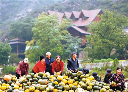 好风景带来好光景