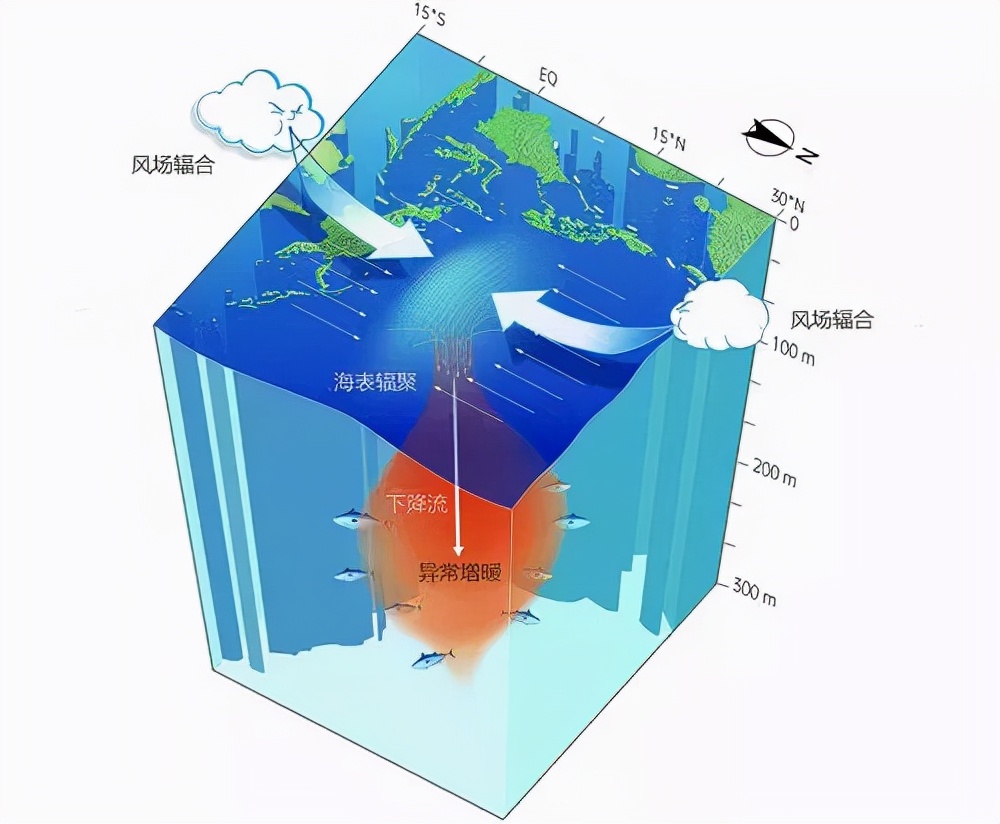 热带西太平洋次表层海洋热浪事件示意图.课题组供图