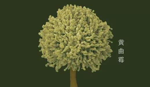 家用筷子要记住4不买不是讲究而是用过之后的教训