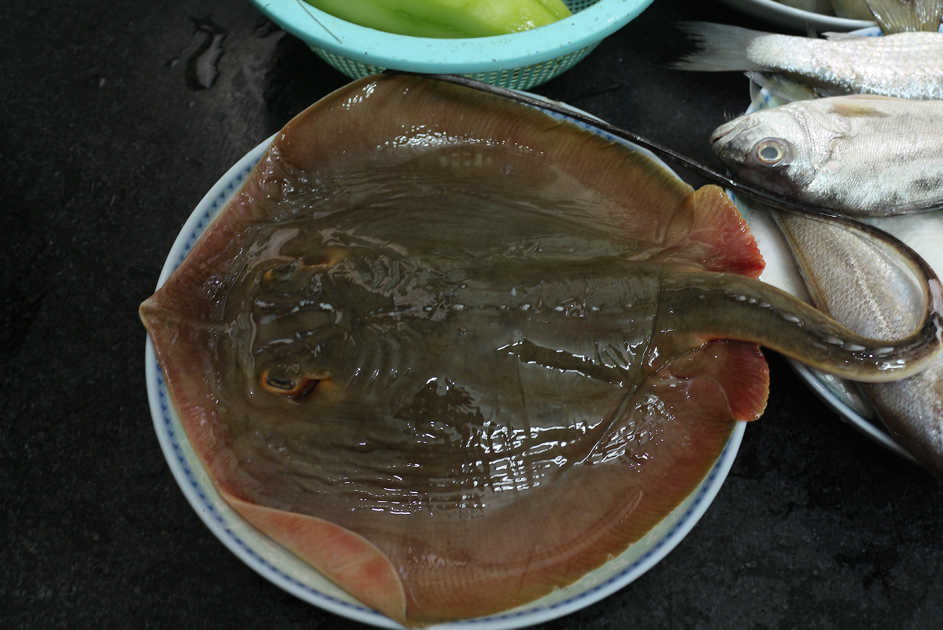 传说西双版纳河里的"吸血毯",把人拖下水吸干血,是何种怪物?